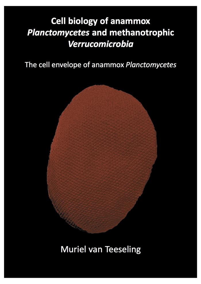van_Teeseling_thesisfrontcover.jpg